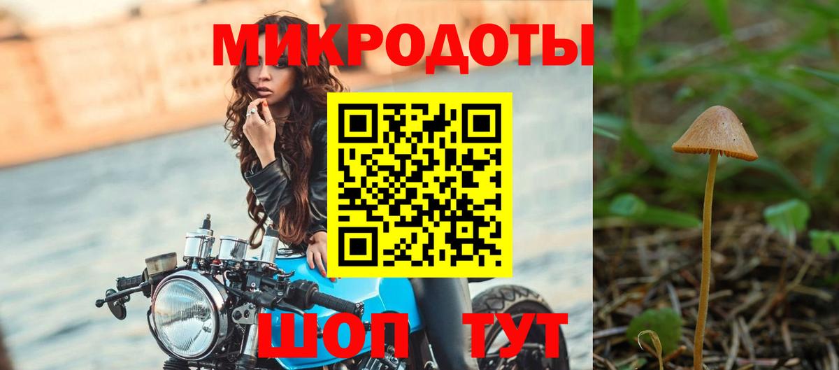 Псилоцибиновые грибы мицелий Магадан