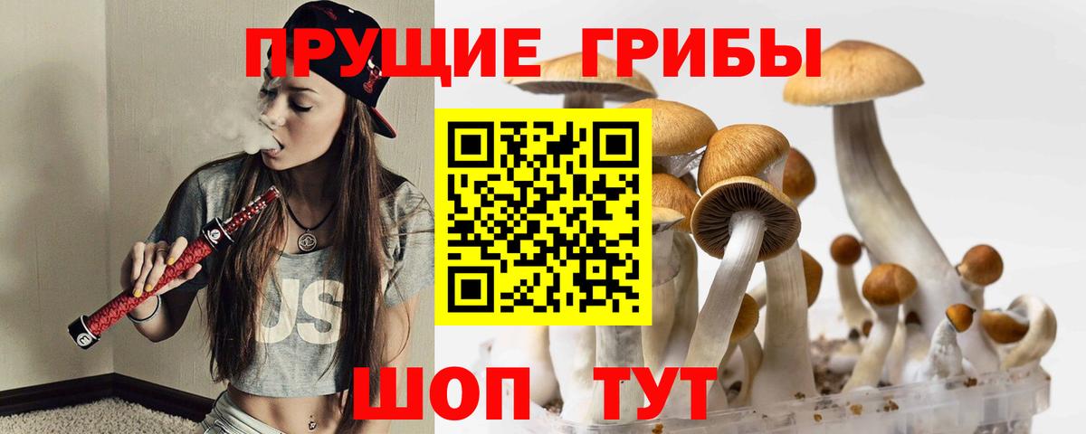 Магадан  Галлюциногенные грибы MAGIC MUSHROOMS  Вход с VPN 