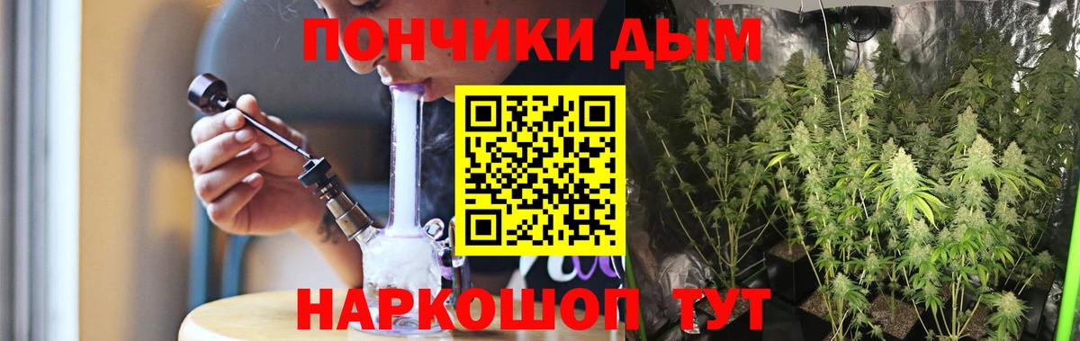 Конопля Ganja  Бошки марихуана план  Марихуана Bruce Banner  Марихуана LSD WEED  Вход с VPN  Магадан 